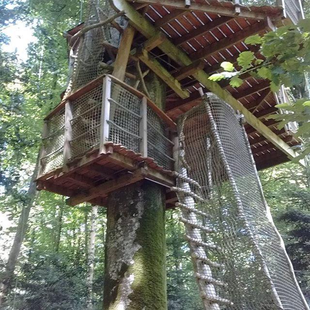 Les Cabanes De Kermenguy Cléder Exteriör bild