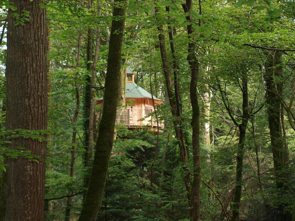 Les Cabanes De Kermenguy Cléder Rum bild