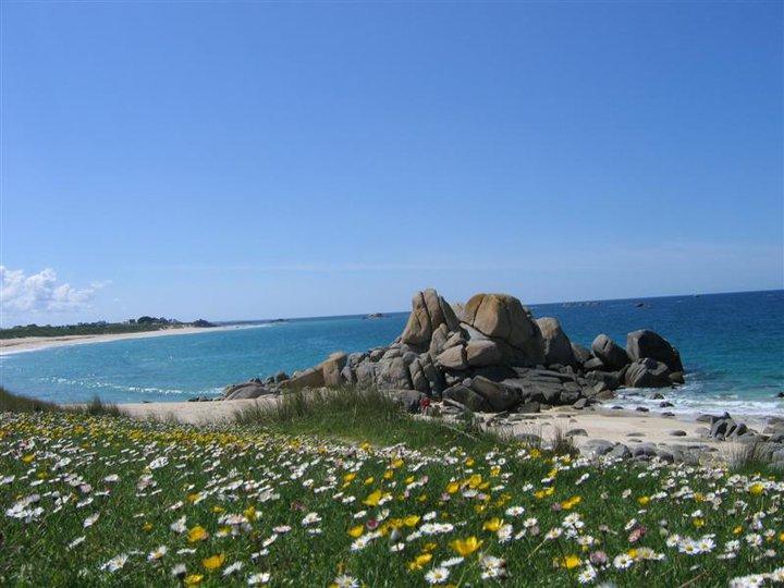 Les Cabanes De Kermenguy Cléder Exteriör bild